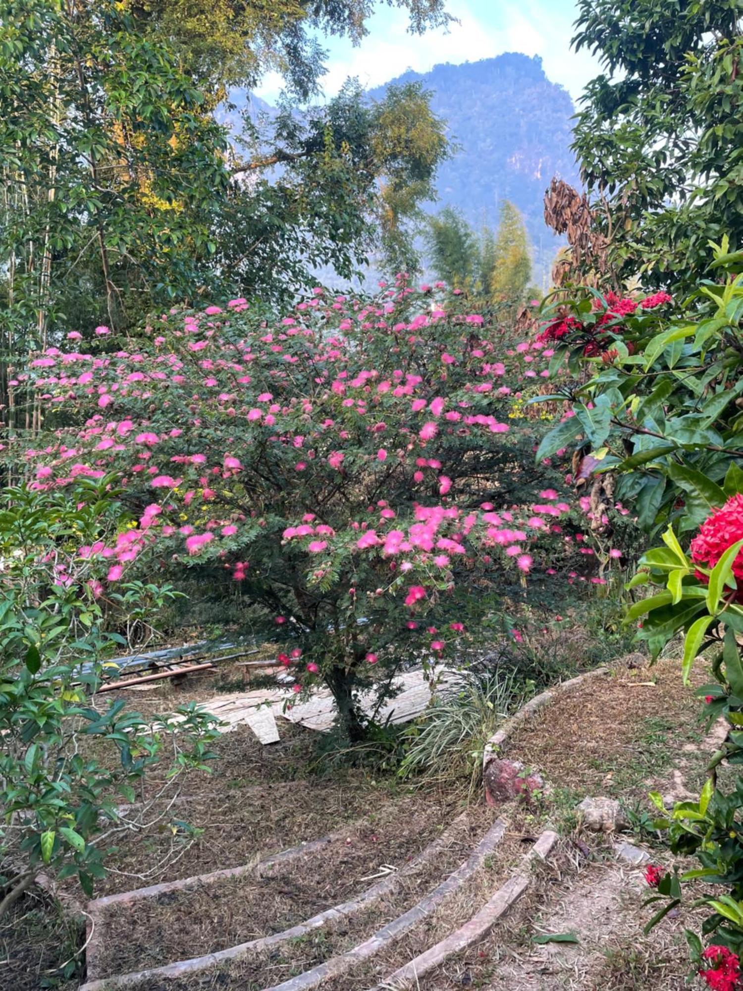 Chiang Dao Roundhouses Dış mekan fotoğraf