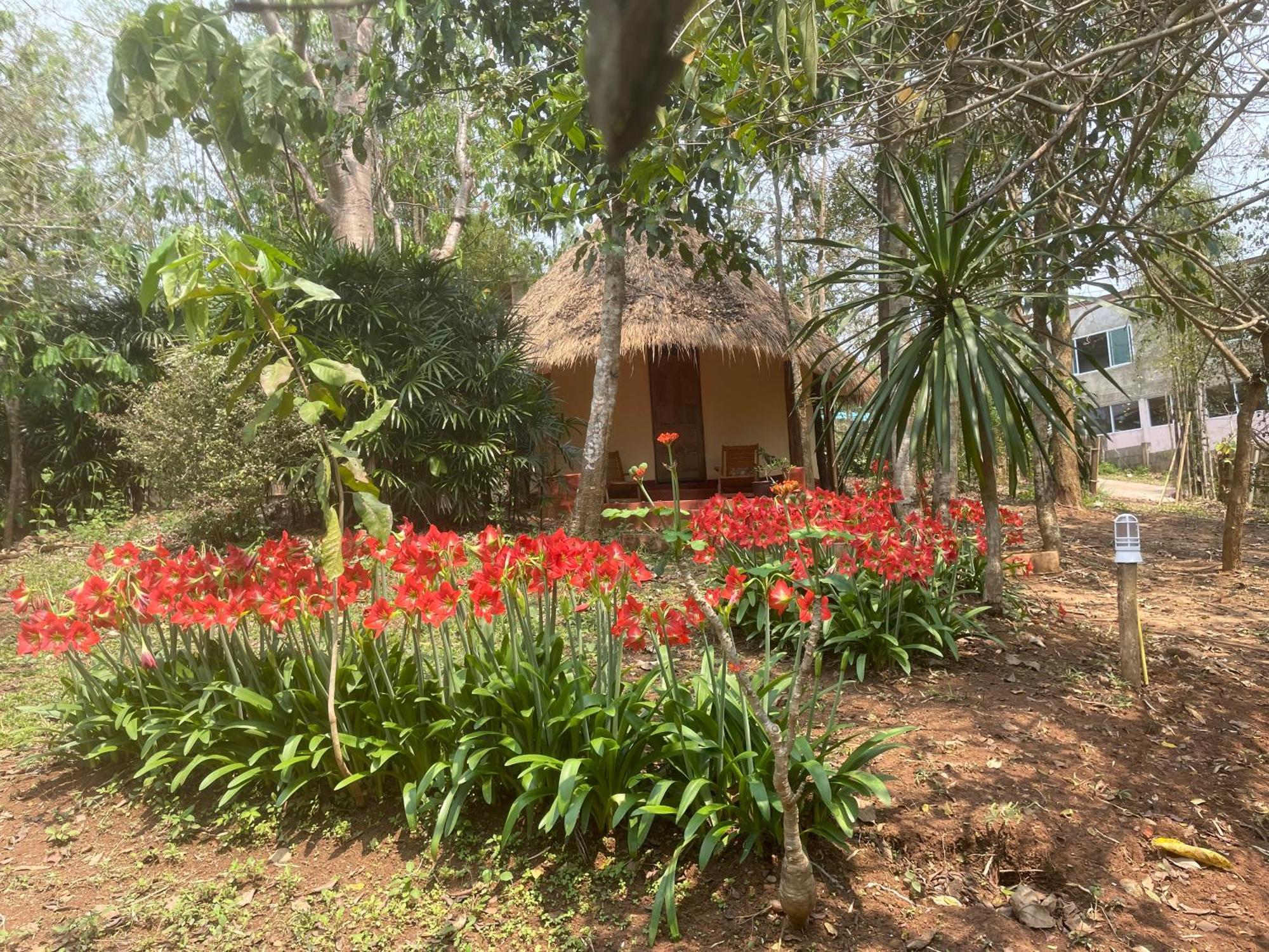 Chiang Dao Roundhouses Dış mekan fotoğraf