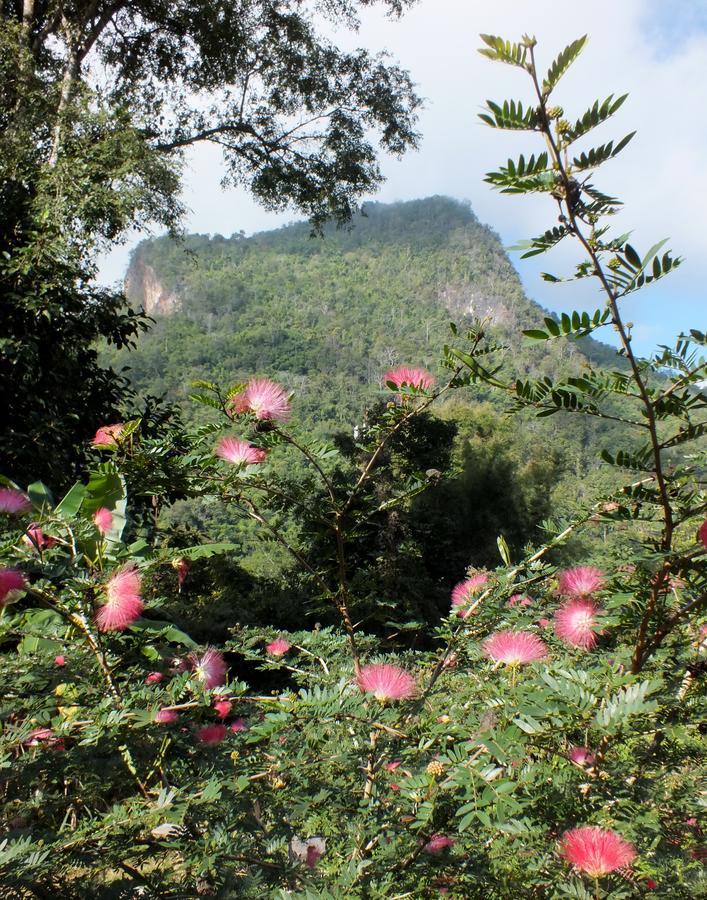 Chiang Dao Roundhouses Dış mekan fotoğraf