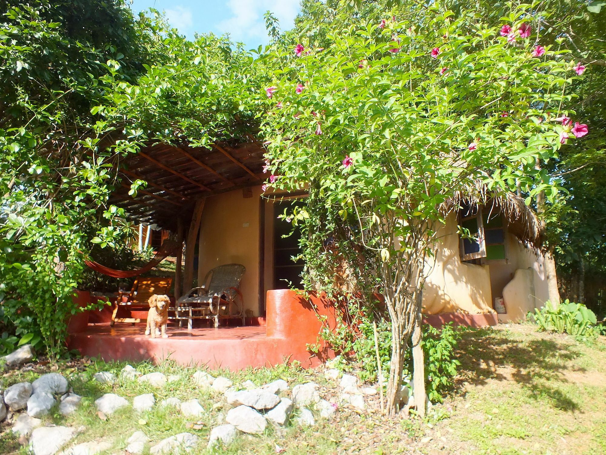 Chiang Dao Roundhouses Dış mekan fotoğraf